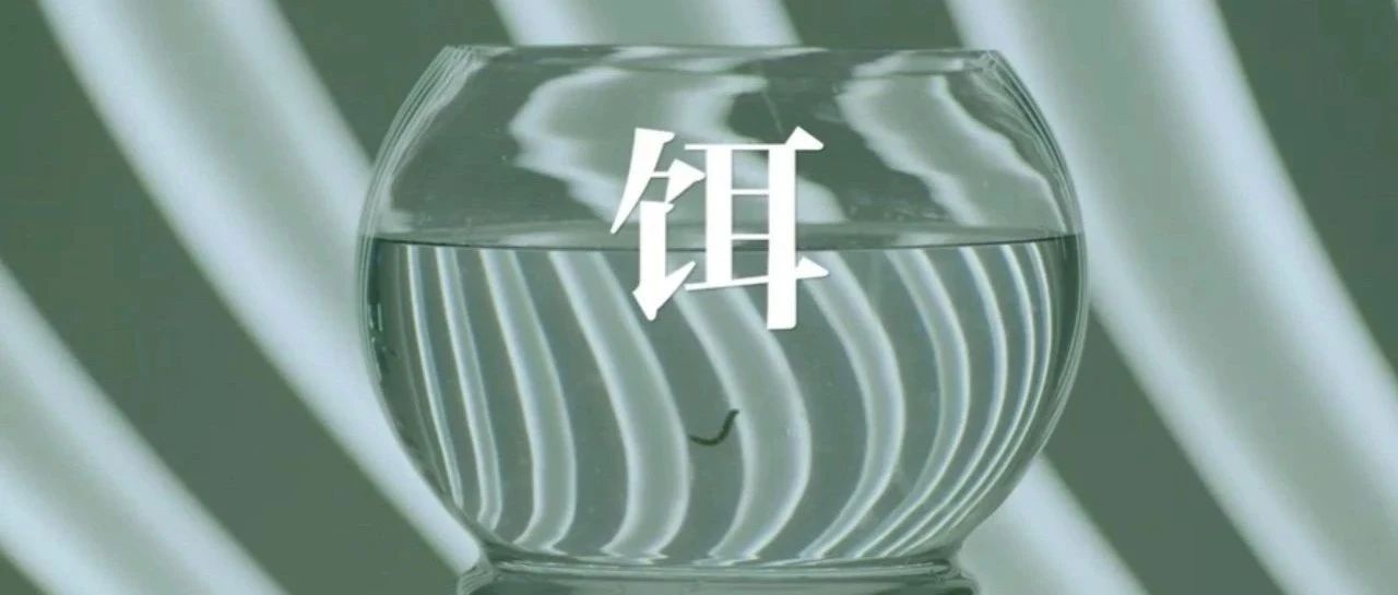968_1699254612968.jpg