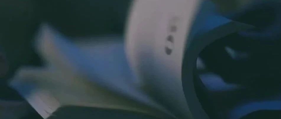 558_1699596983173.jpg