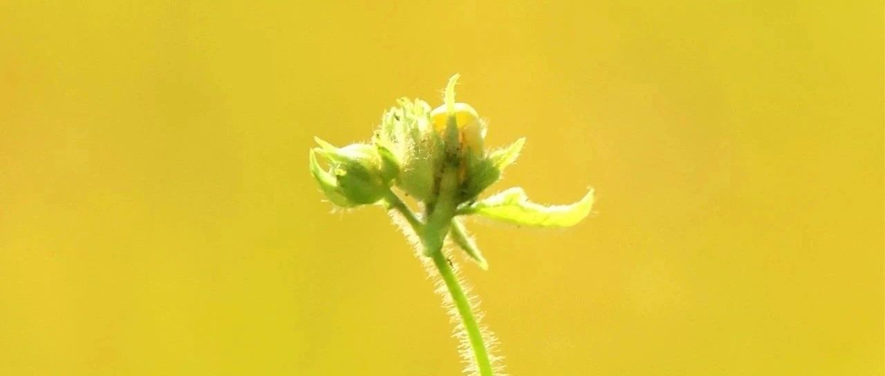 274_1701657008117.jpg