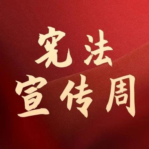 349_1701710706931.jpg