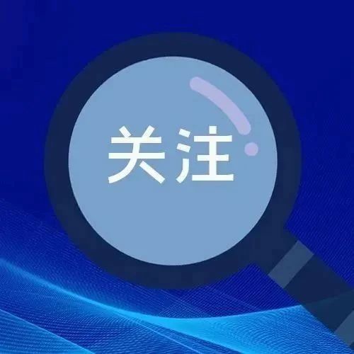 450_1706289911579.jpg