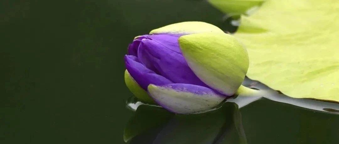 349_1707015007447.jpg