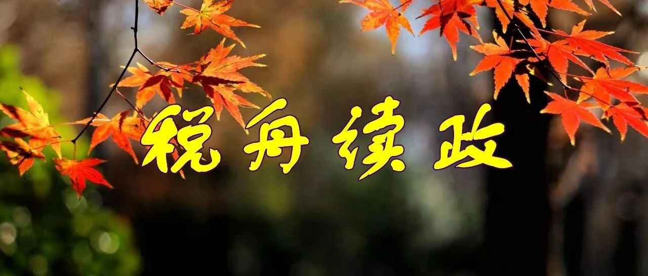 370_1708219549944.jpg